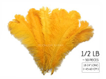 1/2 Lb. - 18-24" Golden Yellow Large Ostrich Wing Plume Wholesale Feathers (Bulk)
