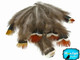1/4 Lb - Mix Lady Amherst Pheasant Plumage Wholesale Feathers (Bulk