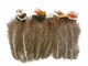 Colorful Green Orange Brown Small Fluffy Wispy Pheasant Feathers for jewelry, crafts, and costumes