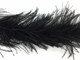 2 Yards - Black 2 Ply Ostrich Feather Boa 2 Ply soft wispy fluffy for costumes, decoration, weddings