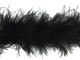 1 Piece - Black Ostrich Feather Boa 3 Ply soft wispy for costume, wedding, centerpiece