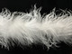 1 Piece - White Ostrich Feather Boa 3 Ply soft wispy for costumes, decoration