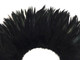6-7" Black Strung Chinese Rooster Saddle Feathers