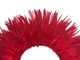 Red Rooster Feathers for dreamcatchers
