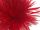 Dyed red rooster feathers, stiff for crafts, headdresses