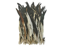 Brown Variety Coque Rooster Tail Feathers Bulk for costumes, floral, jewelry, centerpieces