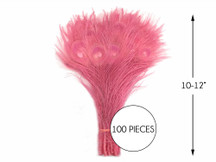 100 Pieces – Sweet Pink Bleached & Dyed Peacock Tail Eye Wholesale Feathers (Bulk) 10-12” Long 