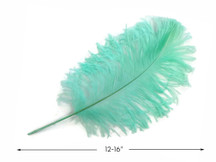 10 Pieces -  12-16" Mint Green Dyed Ostrich Tail Fancy Feathers