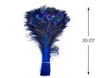 50 Pieces - 20-25" Royal Blue Dyed Over Natural Long Peacock Tail Eye Wholesale Feathers (Bulk)