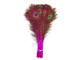 Hot Pink Dyed Over Natural Peacock Tail Eye Wholesale Feathers (Bulk)
