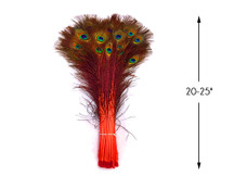 50 Pieces - 20-25" Orange Dyed Over Natural Long Peacock Tail Eye Wholesale Feathers (Bulk)