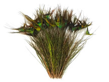 10-12" Natural Green Peacock 'T' Curved Tail Wholesale Feathers (Bulk)