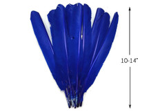 1/4 Lb - Royal Blue Turkey Pointers Primary Wing Quill Large Wholesale Feathers (Bulk)