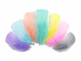 1/4 Lb - Pastel Mix Turkey T-Base Plumage Wholesale Feathers (Bulk)