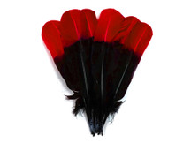 1/4 Lb - Red & Black Two Tone Turkey Round Tom Wing Secondary Quill Feathers