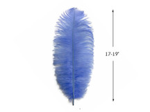 10 Pieces - 17-19" Light Blue Large Bleached & Dyed Ostrich Drabs Body Feathers