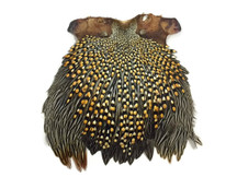 1 Piece - Top Grade Natural Gold Jungle Cock Cape Complete Skin Pelt With Feather (bulk)