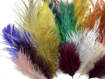 Collection 86 - Mix Random Feather Sample Pack (Bulk)
