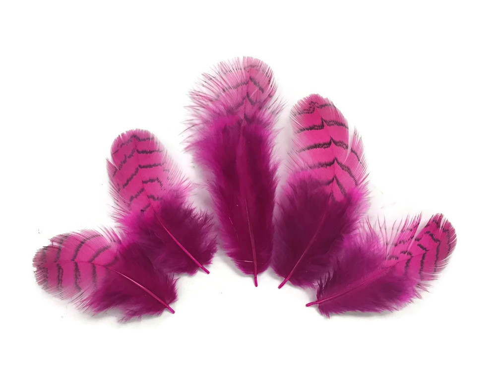10 Pieces Hot Pink Partridge Feathers | Moonlight Feather