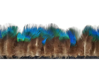 1 Yard - Iridescent Blue Peacock Plumage Fringe / Trim Feathers