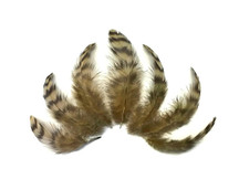 10 Pieces - Tan Dyed Grizzly Hen Saddle Feather