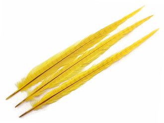 10 Pieces - 20-22" YELLOW Long Ringneck Pheasant Tail Feathers
