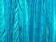 Dyed feathers come in vibrant turquoise blue. Long ringneck pheasant tail feathers can be used for crafts, fashion, dream catchers, and decorations.