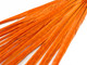 Use these dyed orange feathers to add a pop of color to a centerpiece or other decorations.