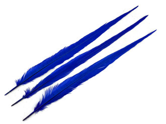 10 Pieces - 20-22" MIDNIGHT BLUE Long Ringneck Pheasant Tail Feathers