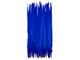 High quality long ringneck pheasant tail midnight blue feathers. Can be used for fashion, dress making, decor, and centerpieces.