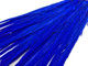Blue versatile feathers are 20-22 inches in length and can be used for arts and crafts, special occasion decor, and costumes.