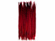 Vibrant red wine feathers for crafting, special occasions, center pieces and decor. 