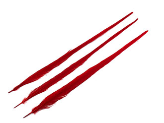 10 Pieces - 20-22" RED Long Ringneck Pheasant Tail Feathers
