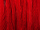 These red feathers are high quality feathers that catch the eye on and off the runway. Perfect for fashion design and special occasions such as valentines day.