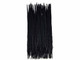 Long black feathers ringneck pheasant tail. Sophisticated feathers for crafts fashion, jewelry, accessories, floral arrangements, and more