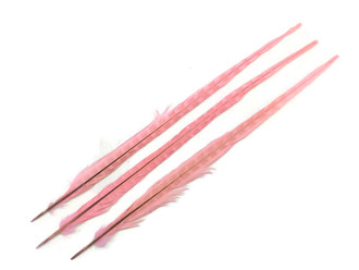 10 Pieces - 20-22" LIGHT PINK Long Ringneck Pheasant Tail Feathers