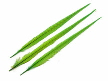 10 Pieces - 20-22" LIME GREEN Long Ringneck Pheasant Tail Feathers