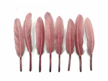 1 Pack - Taupe Dyed Duck Cochettes Loose Wing Quill Feather 0.30 Oz.
