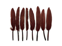 1 Pack - Brown Dyed Duck Cochettes Loose Wing Quill Feather 0.30 Oz.