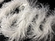 High quality ostrich feather boas in white. This 5 ply boa is can be used for craft projects, costumes, and decor.