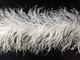 2 Yards - 5 Ply WHITE Ostrich Feather Boa 