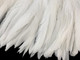 These white strung coque tail feathers are 8-10 inches in length, very sturdy, and very in shapes and sizes.