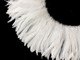 Uses for these white bleach coque tail feathers include floral arrangements, arts and craft,  jewelry, costumes, and accessories. 