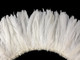 2.5 Inch Strip -  8-10" WHITE Strung Bleach Coque Tails Feathers