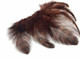 Ten piece grizzly hen saddle feathers in brown. Uses include arts and craft, decor, and costumes.