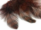 Grizzly hen saddle feathers dyes brown. This comes with ten pieces and can be used for crafts, costumes, decor, and more.