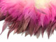 Pink Magenta Feathers. These high quality ombre feathers re dyed and strung rooster schlappen feathers.