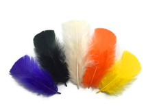1/4 Lb - Halloween Mix Turkey T-Base Plumage Wholesale Feathers (Bulk)