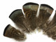 High quality turkey feathers with natural bronze metallic sheen. These beautiful flat feathers are perfect for crafts, masks, and filler feathers.