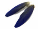 Natural Indigo Macaw Rare Feathers